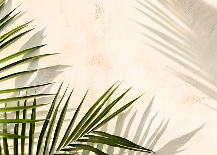 日本橋三越店にてSUMMER COLLECTION～RISINGを開催